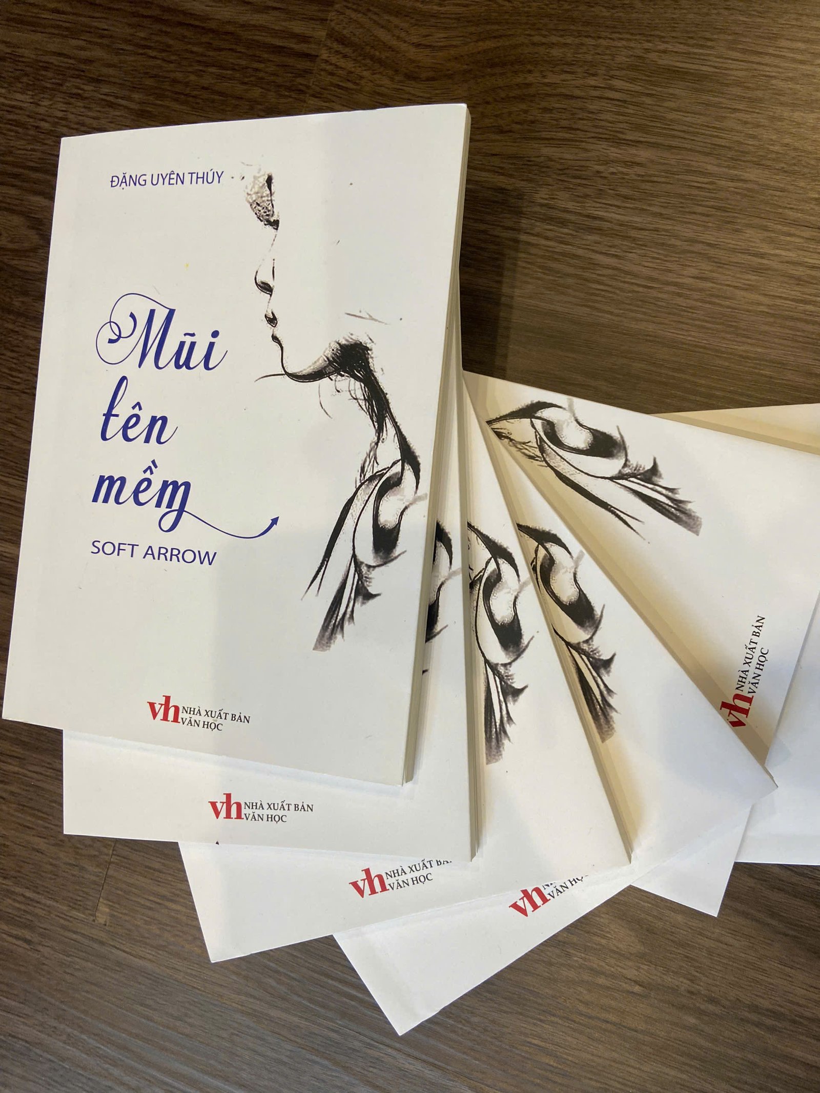 Mũi tên mềm - Ảnh 3