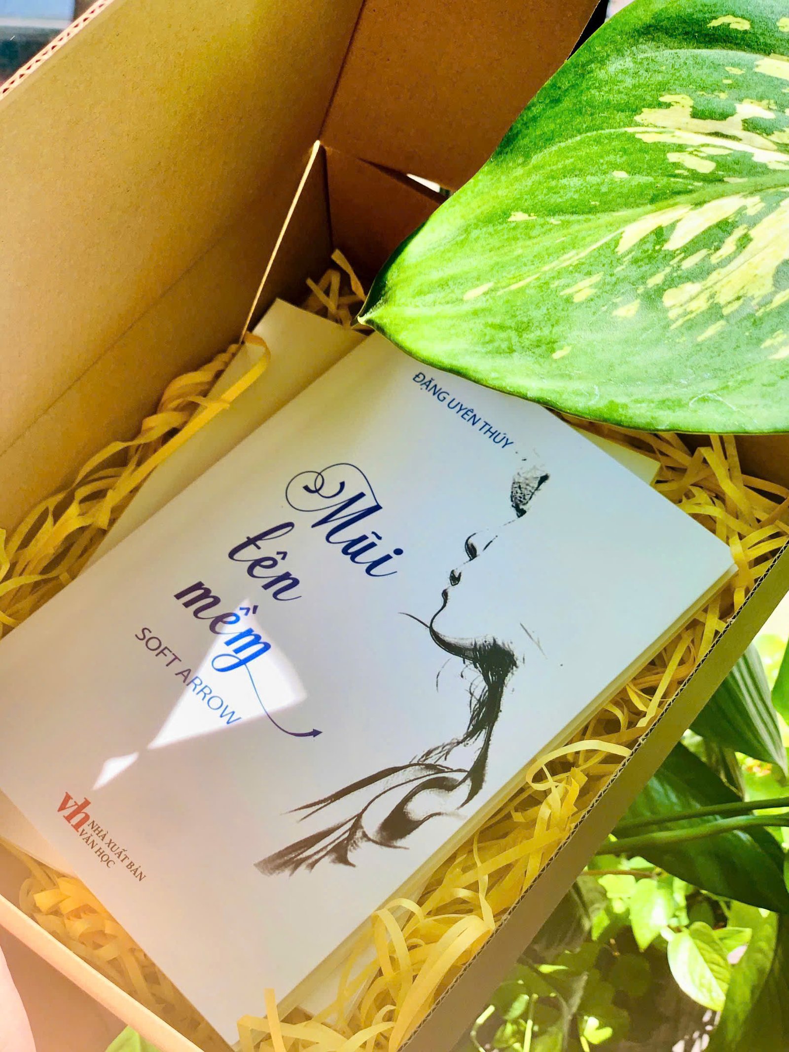 Mũi tên mềm - Ảnh 4